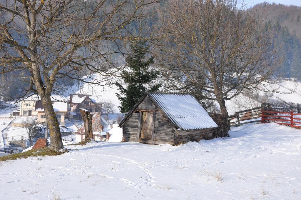Pensiunea La Ionica Dâmbovicioara Exterior foto