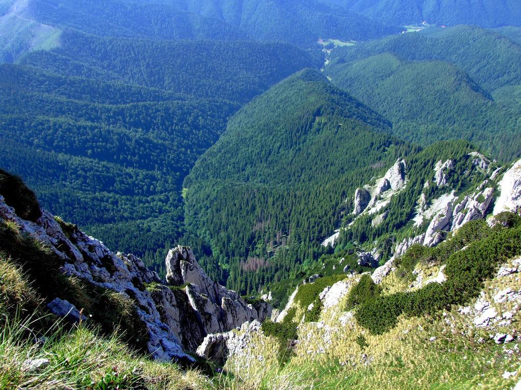 Pensiunea La Ionica Dâmbovicioara Exterior foto