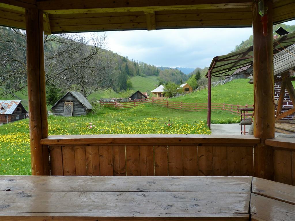 Pensiunea La Ionica Dâmbovicioara Exterior foto