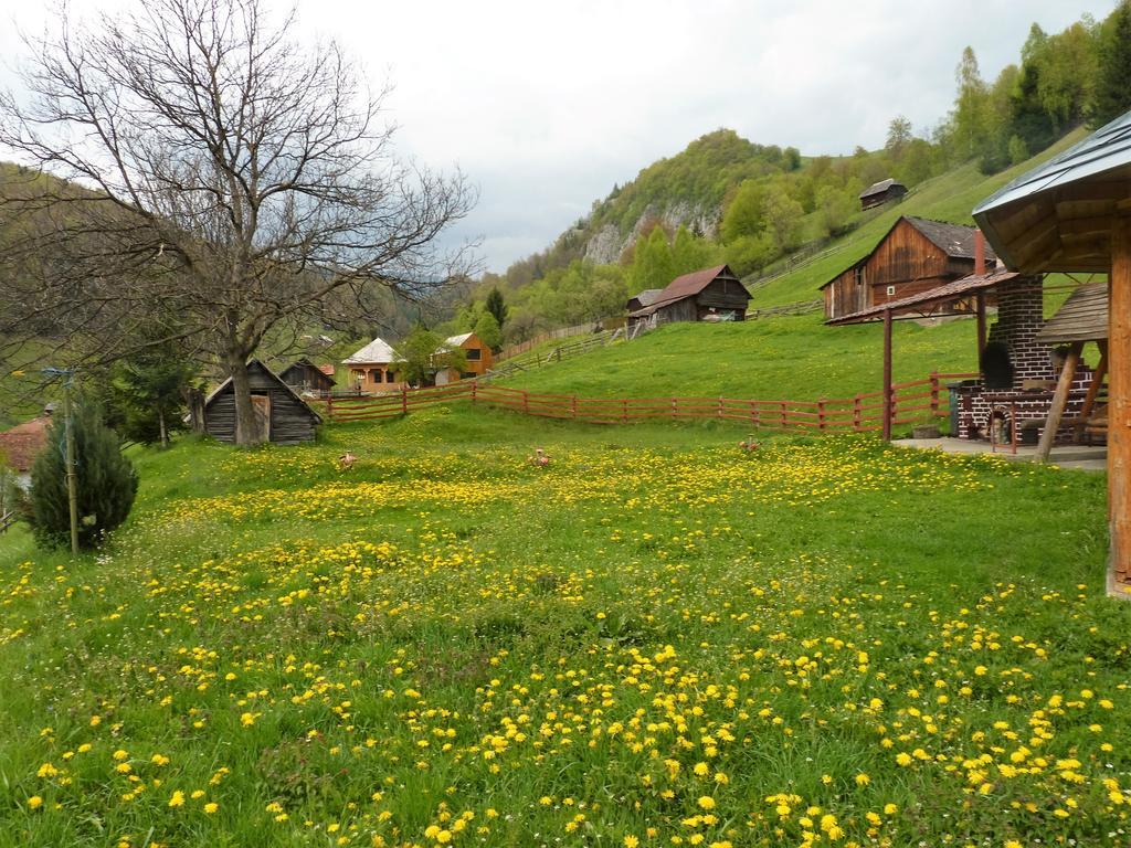 Pensiunea La Ionica Dâmbovicioara Exterior foto
