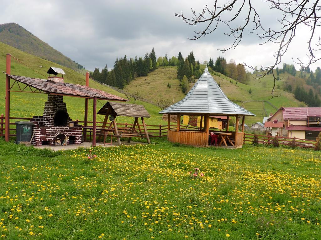 Pensiunea La Ionica Dâmbovicioara Exterior foto