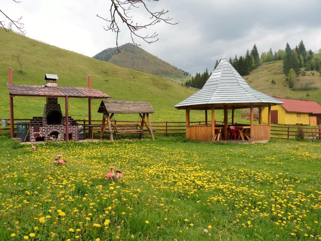 Pensiunea La Ionica Dâmbovicioara Exterior foto