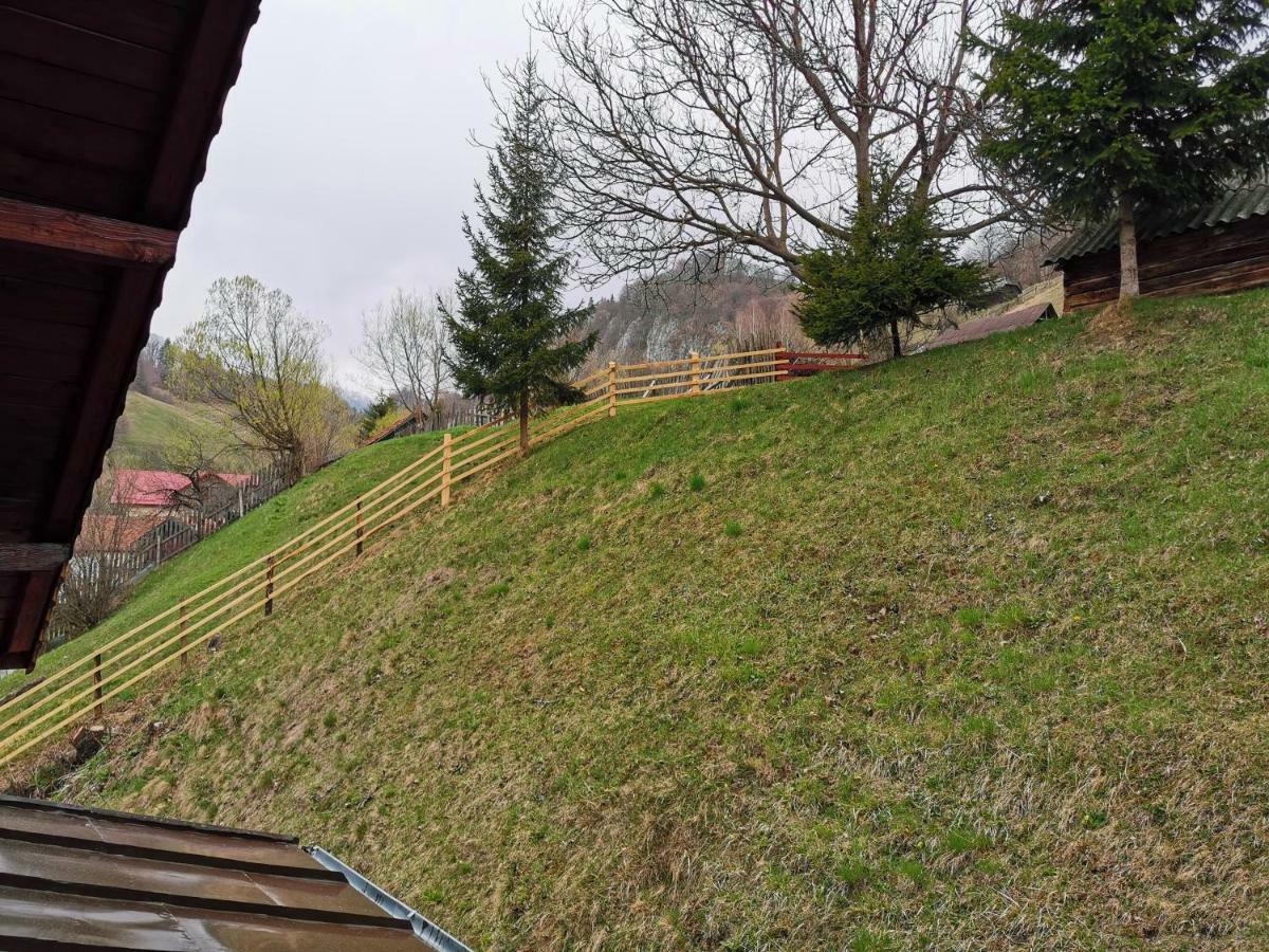Pensiunea La Ionica Dâmbovicioara Exterior foto