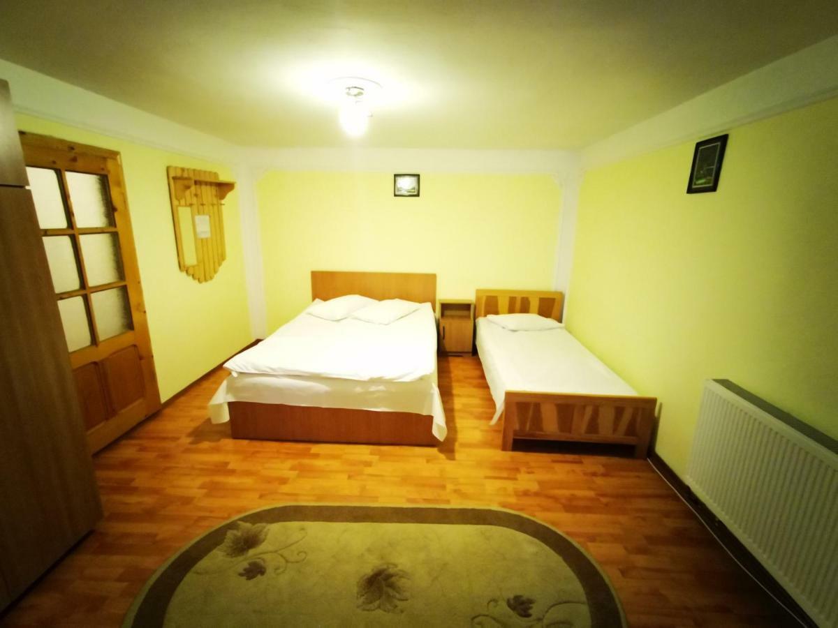 Pensiunea La Ionica Dâmbovicioara Exterior foto